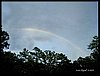 rainbow1.jpg
